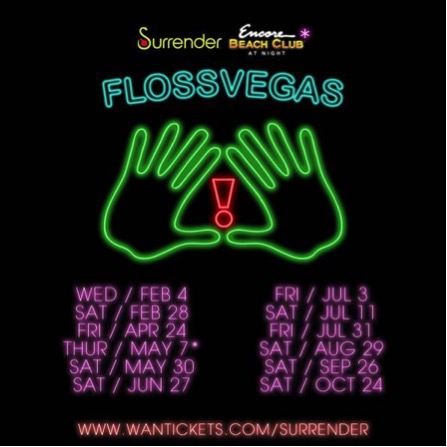 rephlektorlist_Flossvegas_1